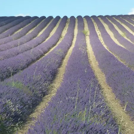 Le Mas Jorel Frühstückspension Gargas (Vaucluse)