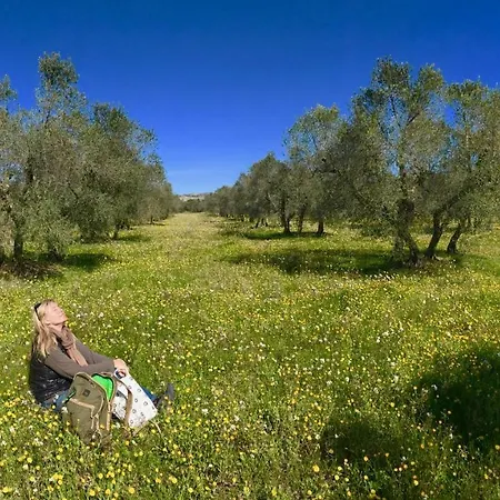 Le Mas Jorel Gargas (Vaucluse)