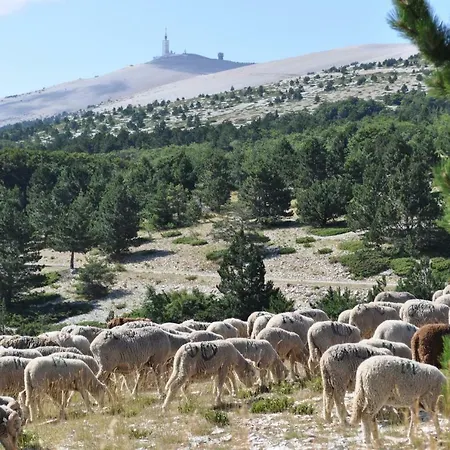 Le Mas Jorel Gargas (Vaucluse)
